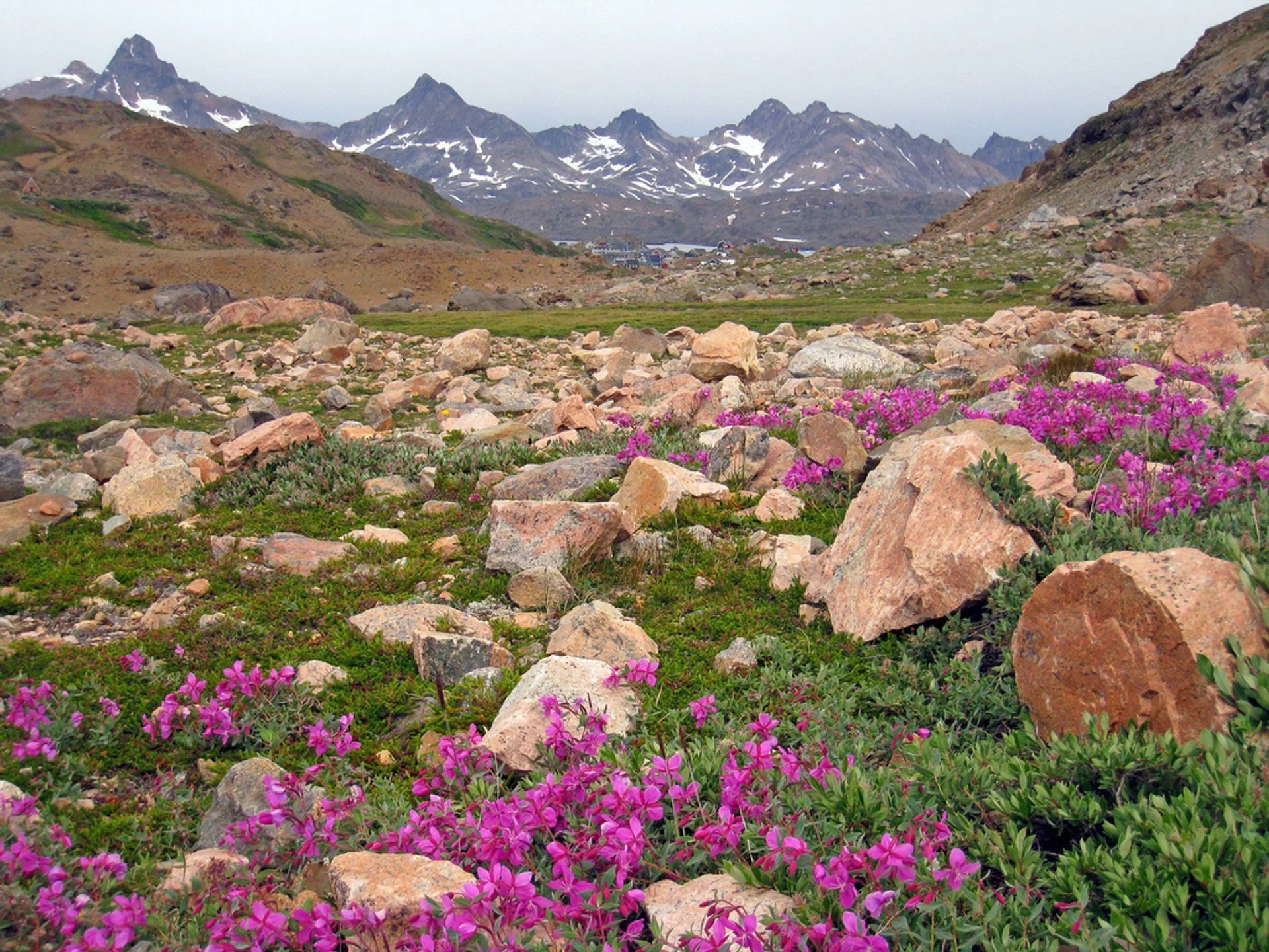 🏞️ 텐노 그린랜드(덴노 그린란도) 이미지 7
